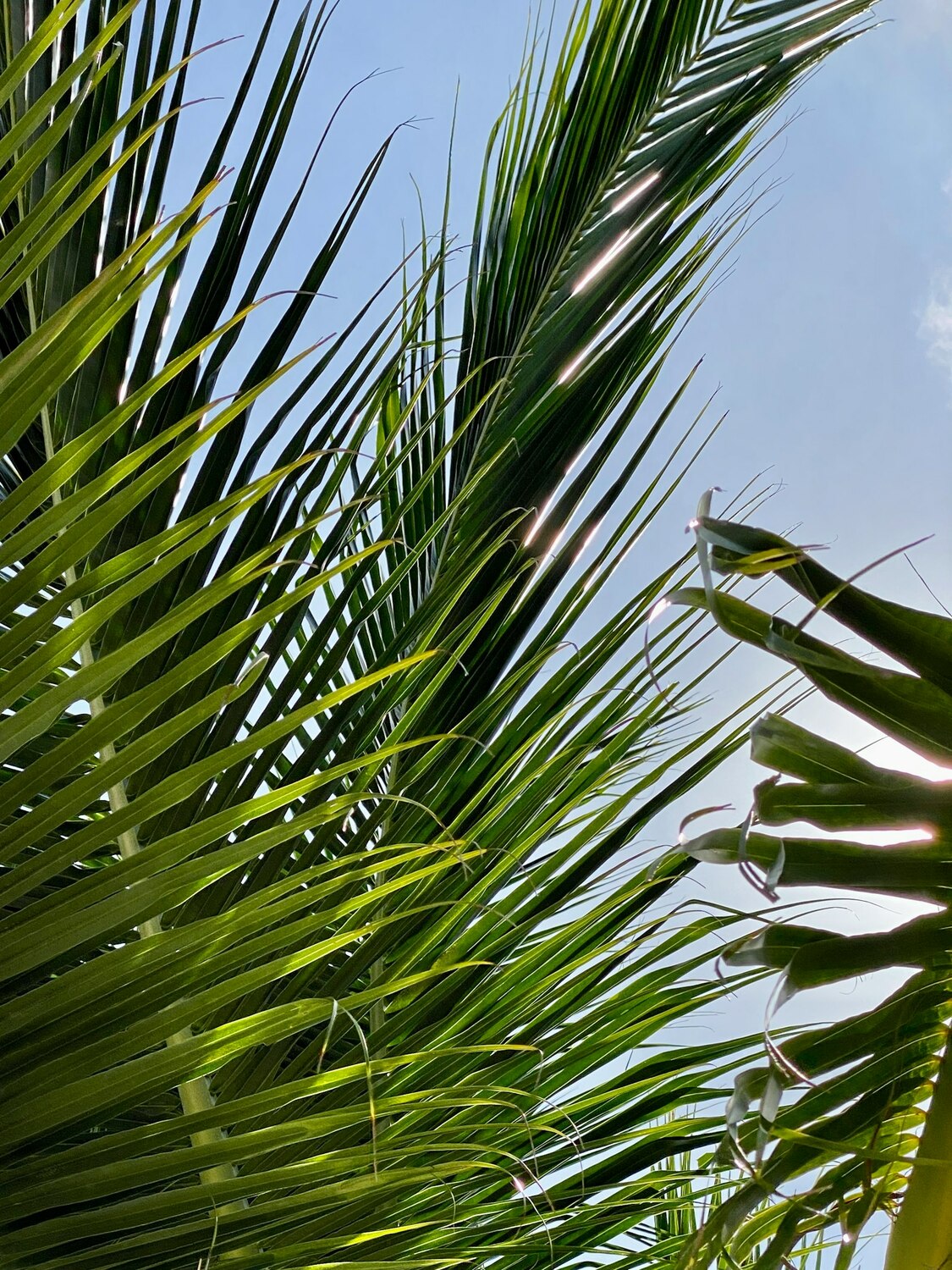 Видеообзор виллы до 90 секунд&nbsp;